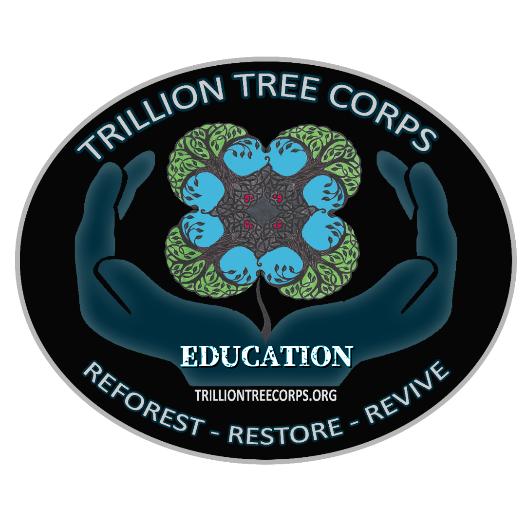 Trillion Tree Corps | Built without harming any trees